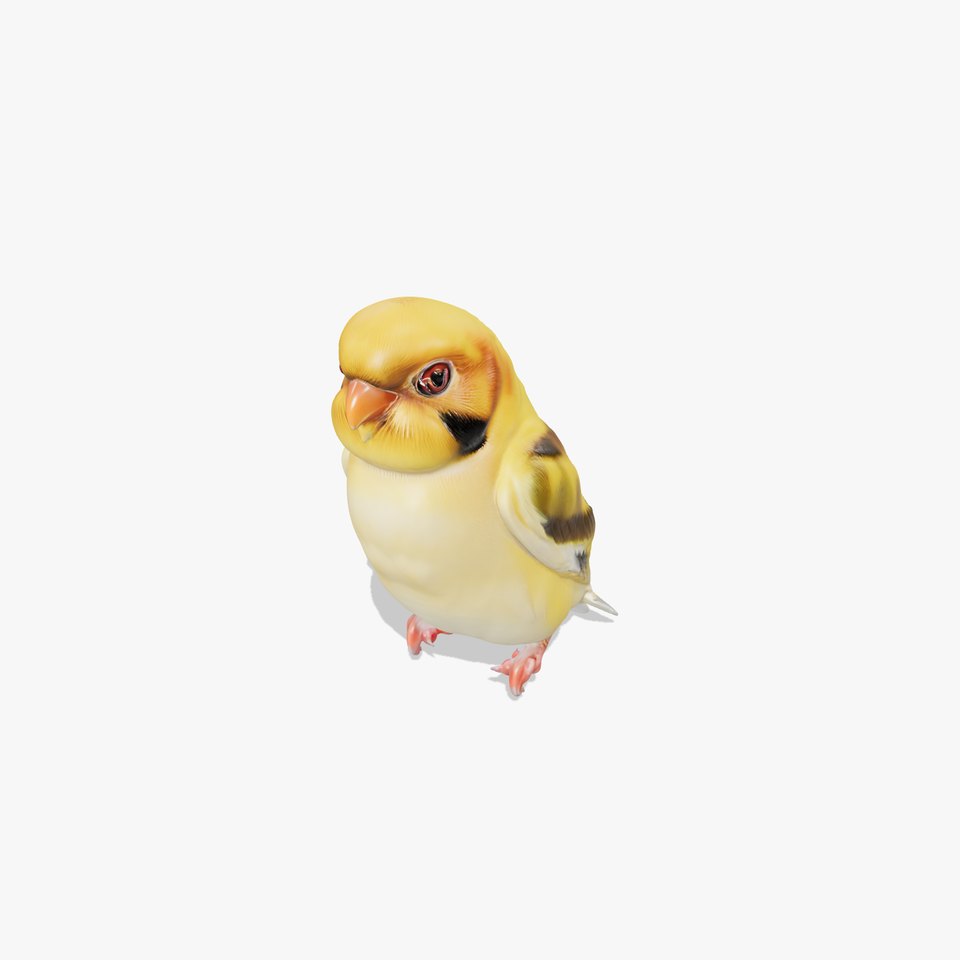 Golden Finch Bird model pack